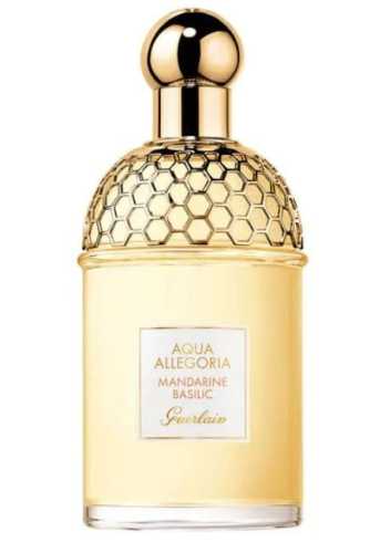 aqua Allegoria Mandarine basil.jpg