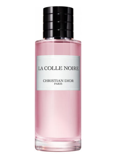 christian dior la colle.jpg